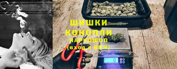 СК Медвежьегорск
