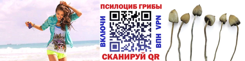 Галлюциногенные грибы GOLDEN TEACHER даркнет сайт OMG ТОР Сусуман